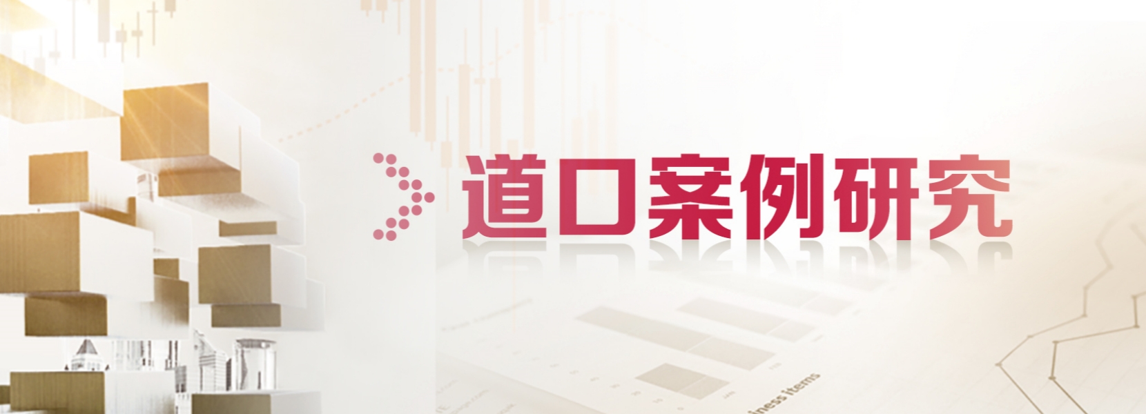 道口案例研究